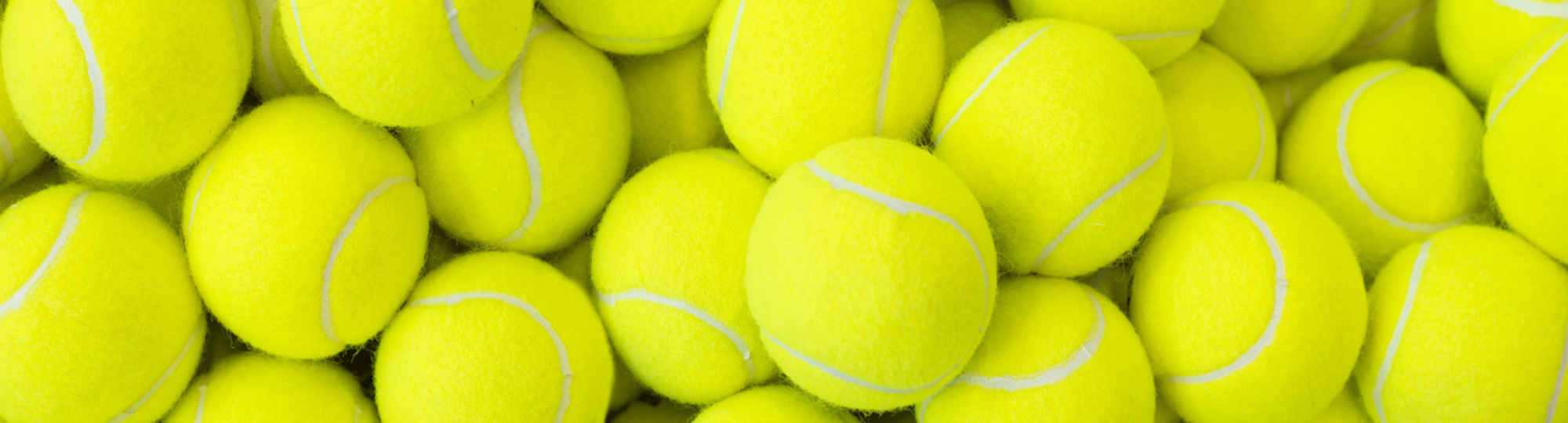 Legendary Tennis Grand Slam Champions